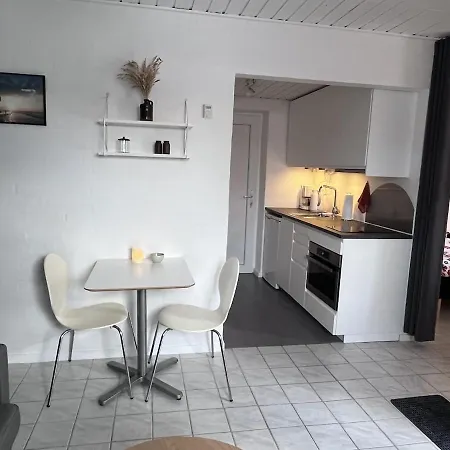 Apartament Cozy With Private Terrace Close To Downtown Thisted